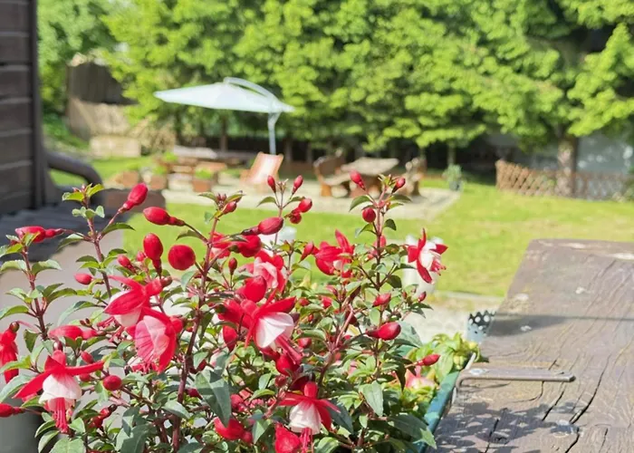 Bernstein 3 شقة *